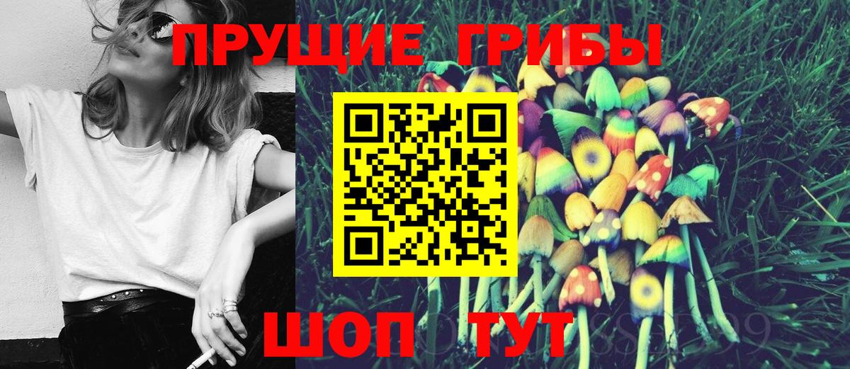 Псилоцибиновые грибы Magic Shrooms  Вход с VPN  Галлюциногенные грибы мицелий  Звенигород 