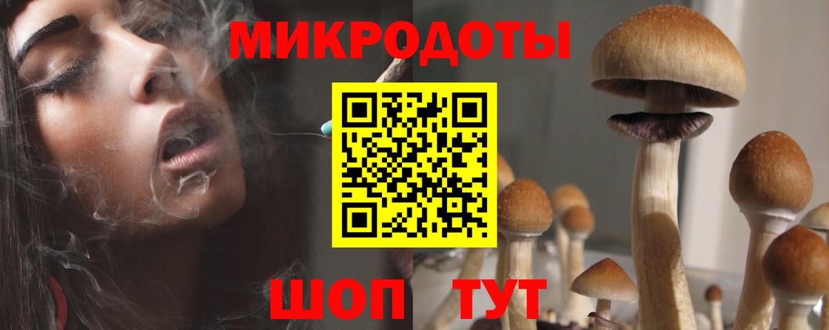 Галлюциногенные грибы GOLDEN TEACHER Звенигород